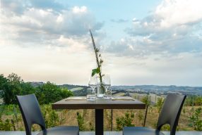 Elvì vineria creativa a Vigna della Cava, una raffinata cena in vigna a pochi km dal Conero