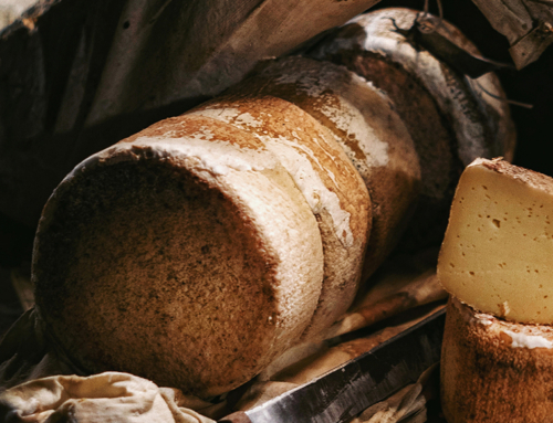 Eccellenza casearia delle Marche: il pecorino di fossa della famiglia Beltrami
