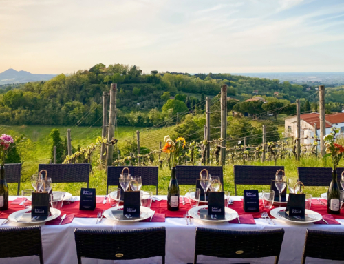 Cosa fare in Romagna: tappe per un tour enogastronomico