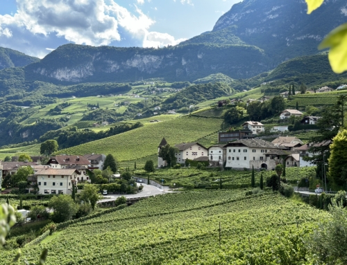 Cantina Kurtatsch: wine experience nel Terroir dell’Alto Adige