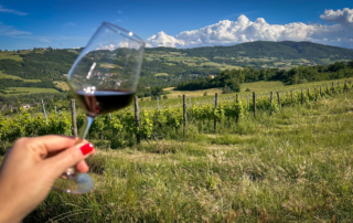 Cantina Il Poggiarello - Colli Piacentini / Val Trebbia
