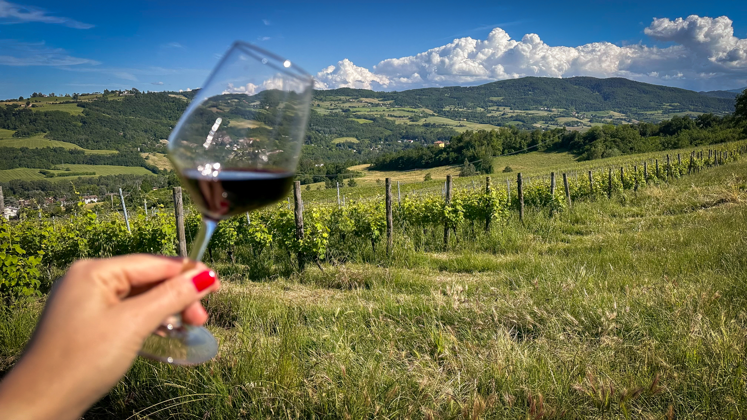 Cantina Il Poggiarello - Colli Piacentini / Val Trebbia