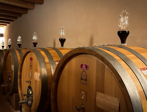Cantina Cavarena: il vino artigianale nel cuore della Valpolicella Classica