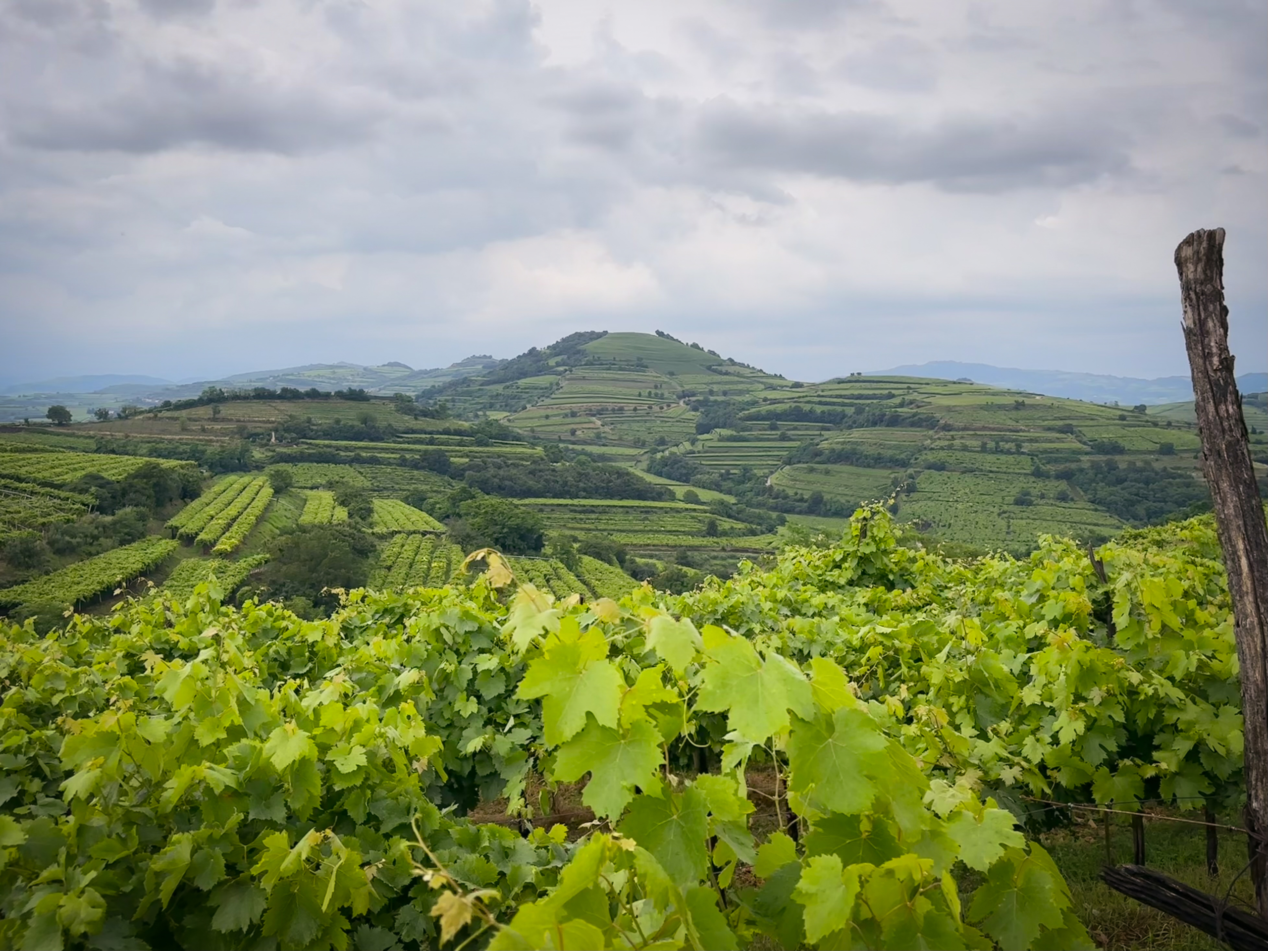 Soave Classico. Vigneti lungo il Percorso dei 10 Capitelli