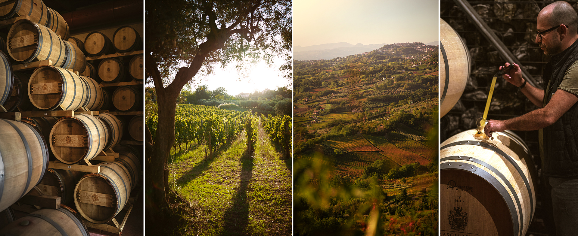 Cantina Masciarelli - Castello di Semivicoli 