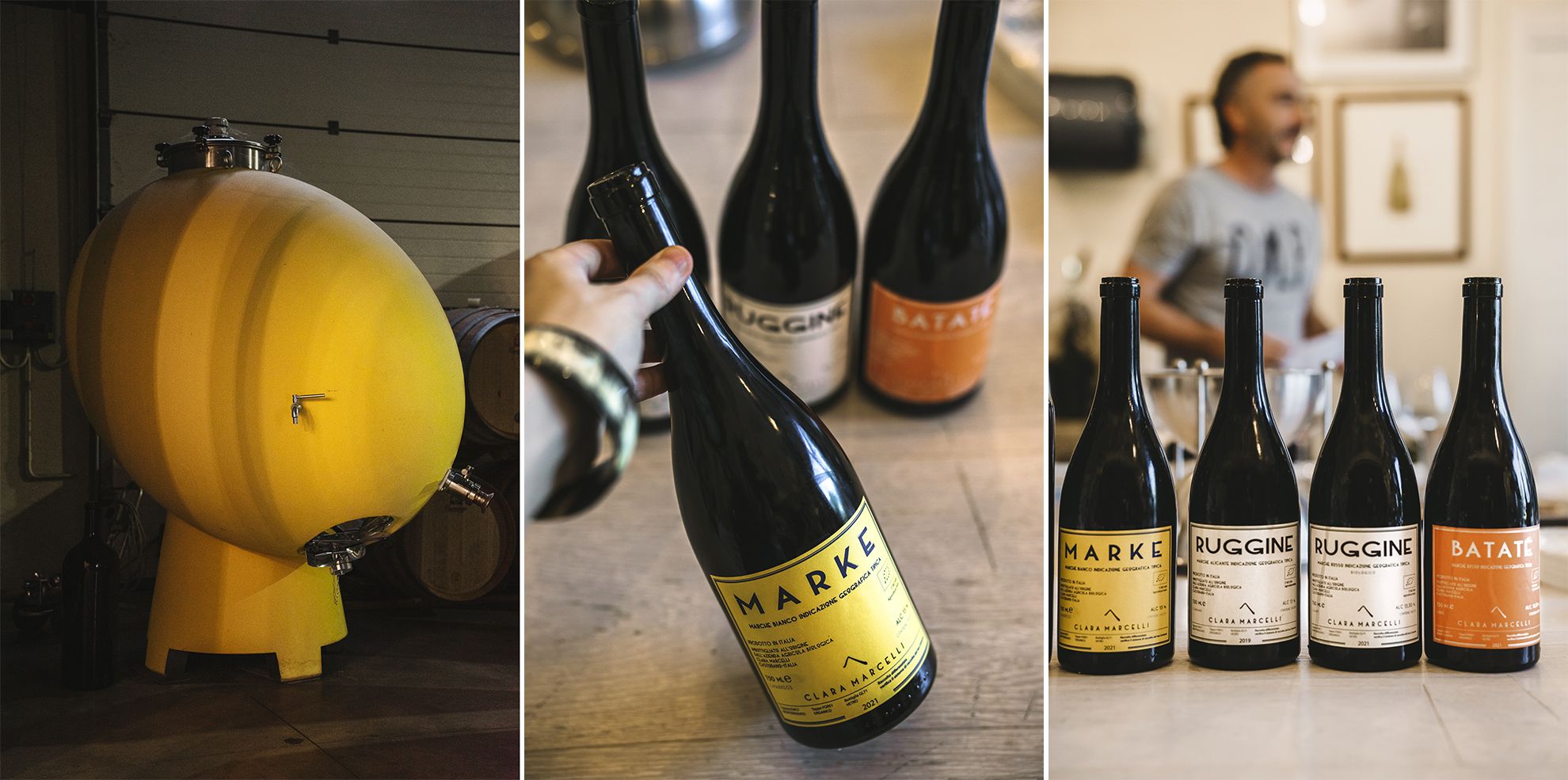 I vini di Clara Marcelli