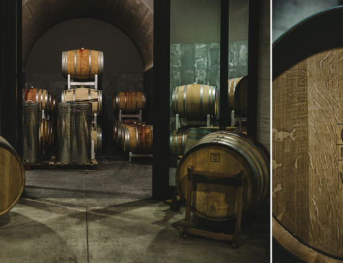 Clara Marcelli: piccole produzioni, sperimentazione e altissima qualità per i migliori vini del Piceno