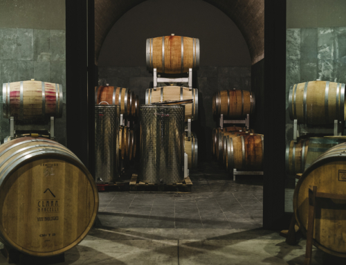 Clara Marcelli: piccole produzioni, sperimentazione e altissima qualità per i migliori vini del Piceno