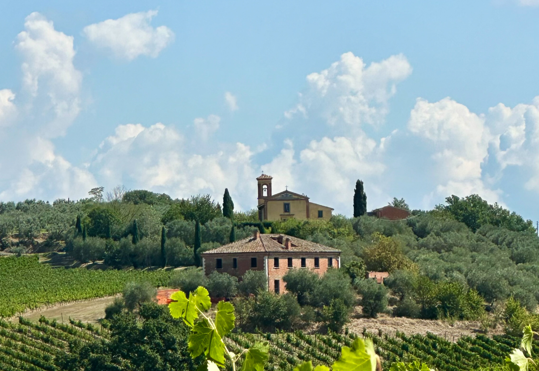 Pieve Cervognano - Vino Nobile di Montepulciano DOCG