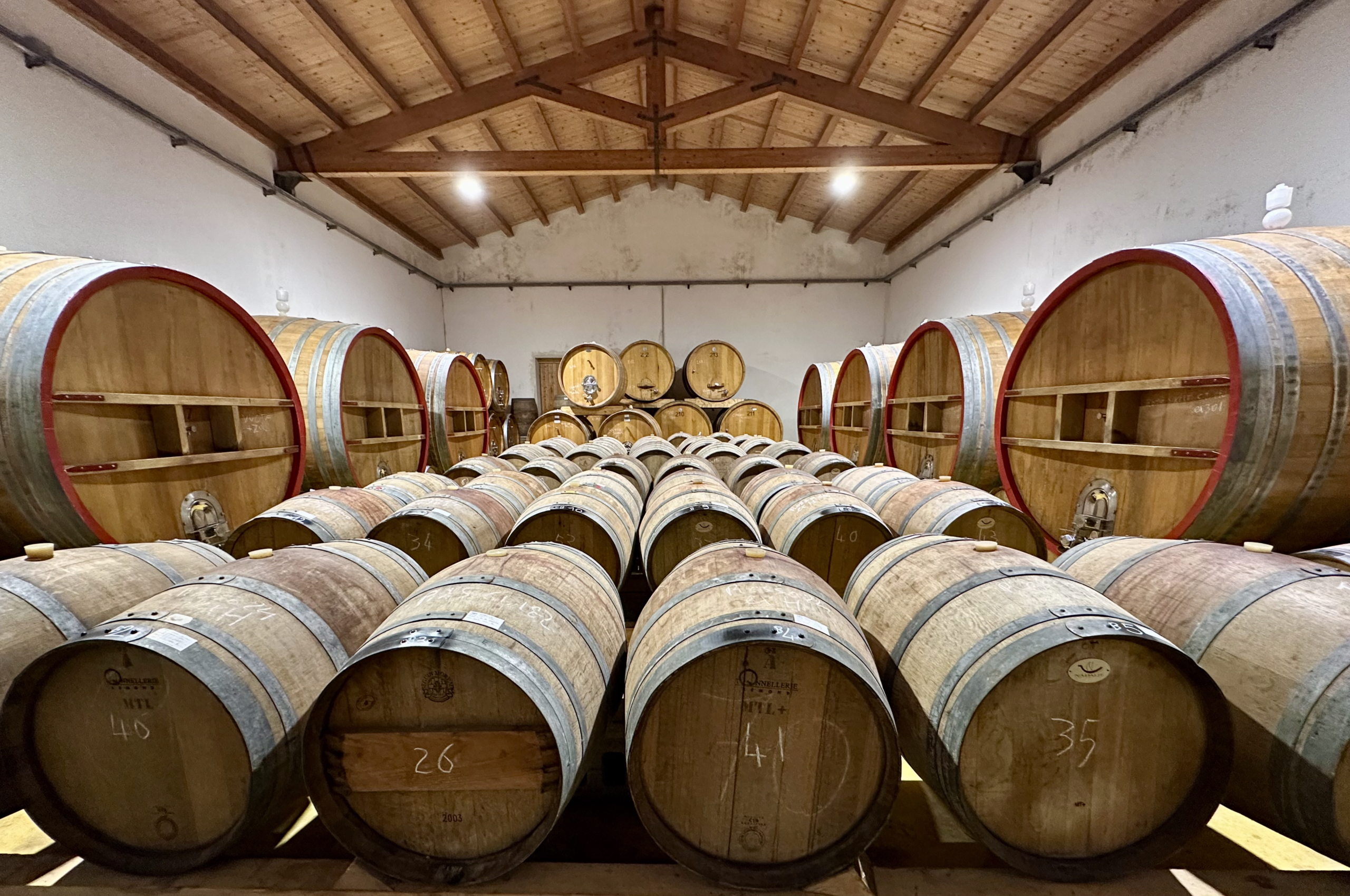 Barricaia presso Cantina Marilina