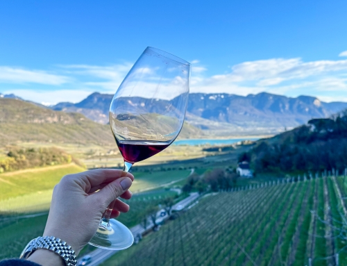 Perché il Kalterersee è il vino rosso dell’estate: viaggio tra vigneti e natura al Lago di Caldaro