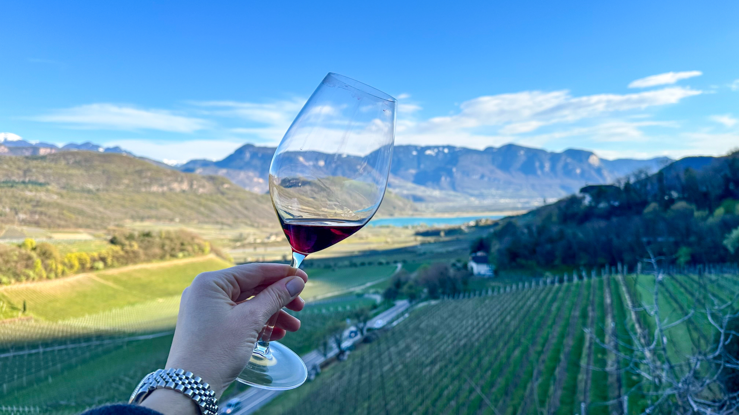 Lago di Caldaro, Kalterersee e vigneti