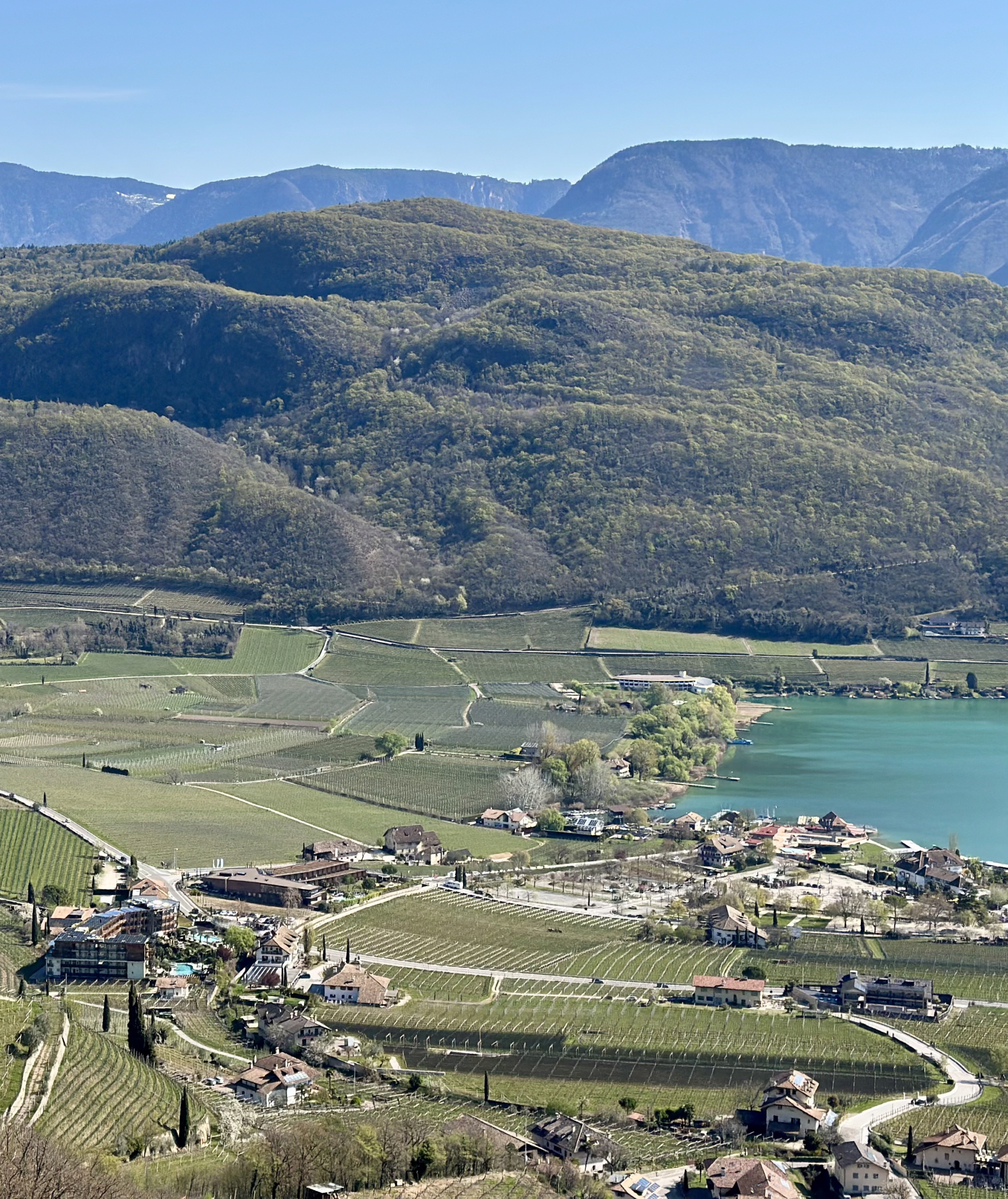 Panorama sui vigneti e sul lago di Caldaro durante l'escursione presso la gola di Rastenbach