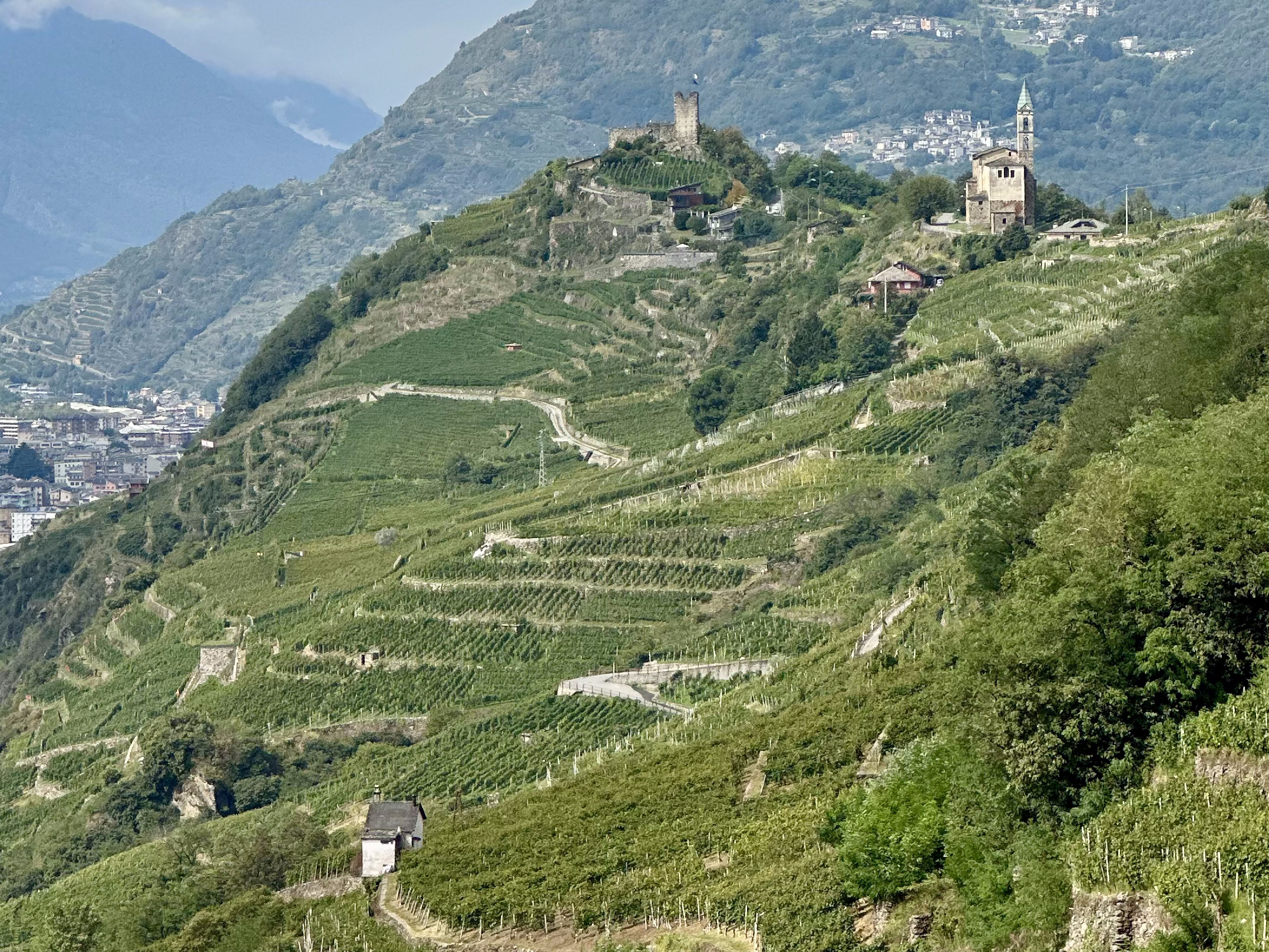 Terrazzamenti e muretti a secco in Valtellina 