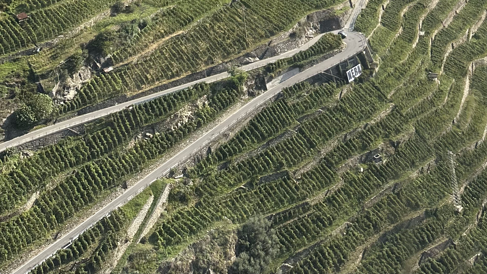Valtellina: vigneti terrazzati visti dall'elicottero 